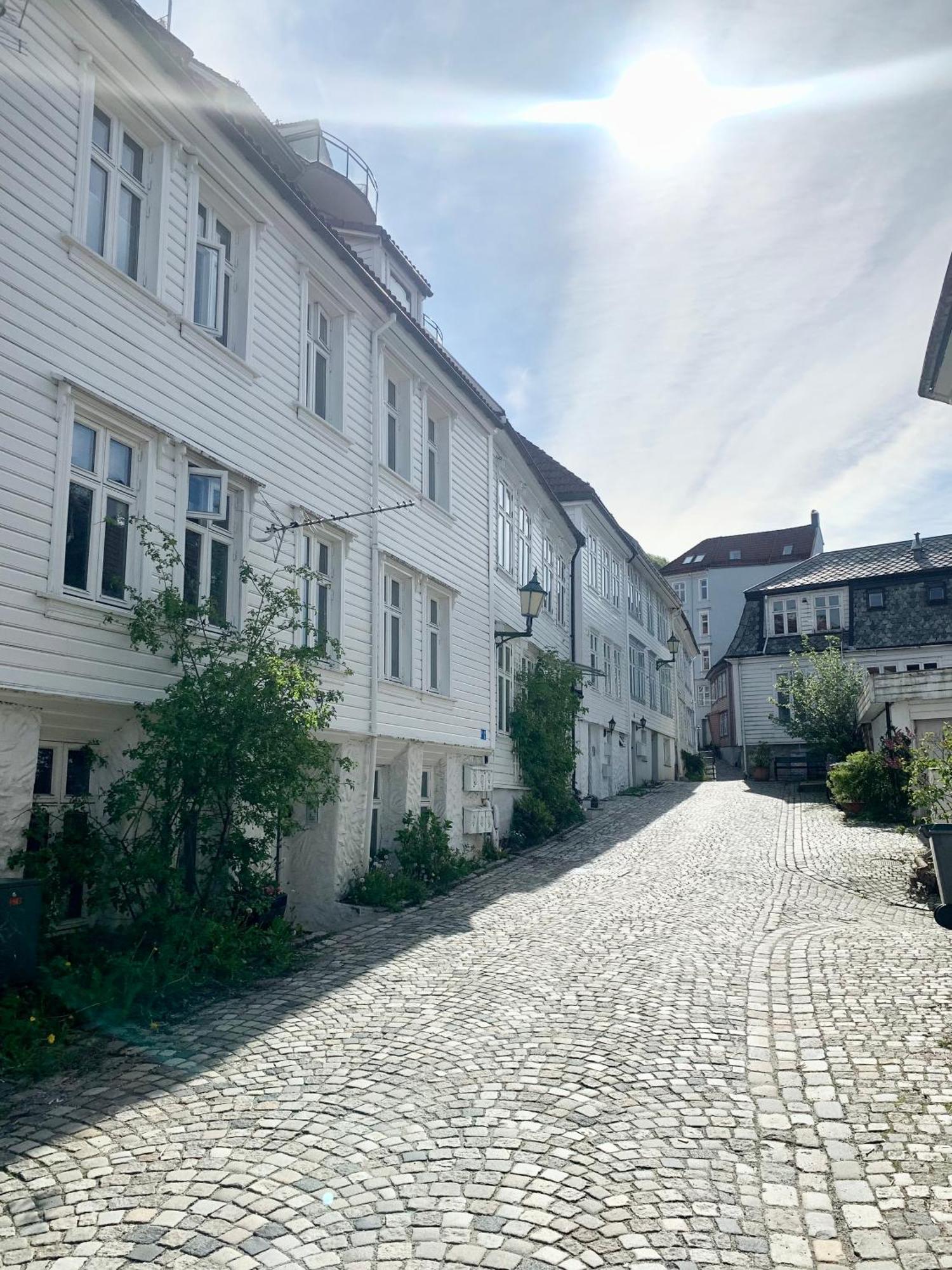 Nedre Stolen Apartment Bergen Kültér fotó